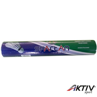 Tollaslabda Champion