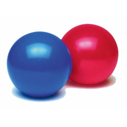 Gimnasztikai labda Fitness Spartan