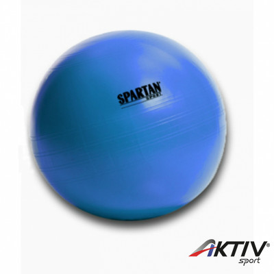 Gimnasztikai labda Power 55 cm kék