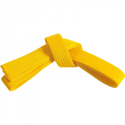 Judo öv sárga Sportszer Spartan