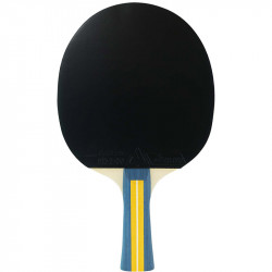 Joola Team Master pingpong ütő