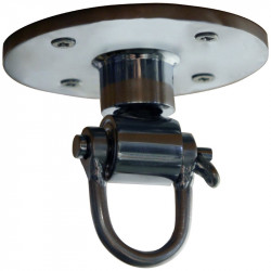 Professzionális csigás forgó felfüggesztő Everlast Sportszer Everlast