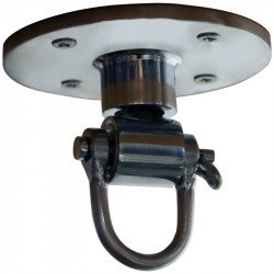 Professzionális csigás forgó felfüggesztő Everlast Sportszer Everlast