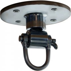 Professzionális csigás forgó felfüggesztő Everlast Sportszer Everlast