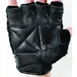 Edzőkesztyű Everlast All Competition bőr