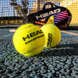 Head Championship teniszlabda 3 db