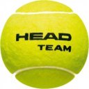 Teniszlabda Head Team 3 db