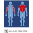 Body-Solid többfunkciós edzőgép