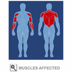 Body-Solid többfunkciós edzőgép