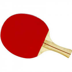 3 csillagos ping pong ütő Sportszer