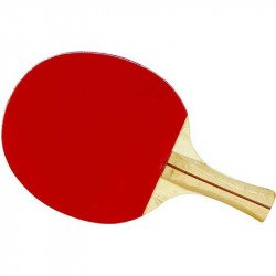 3 csillagos ping pong ütő Sportszer