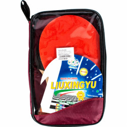 Ping pong szett táskás