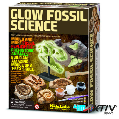 4M foszforeszkáló őskövület készlet