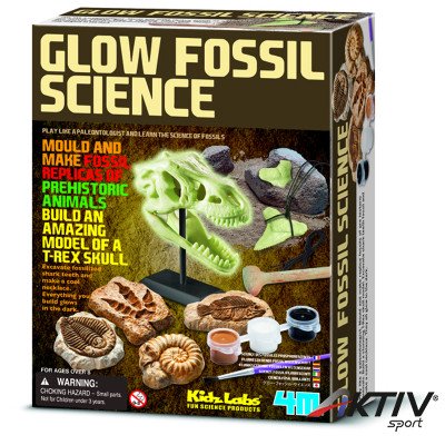 4M foszforeszkáló őskövület készlet