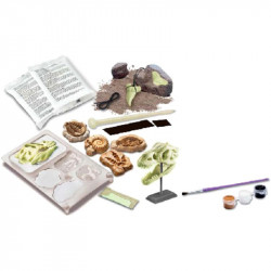 4M foszforeszkáló őskövület készlet