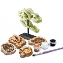 4M foszforeszkáló őskövület készlet