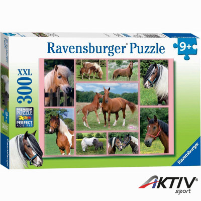 Puzzle 300XXL - Lovak Ravensburger