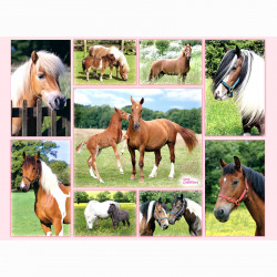 Puzzle 300XXL - Lovak Ravensburger