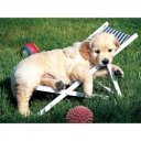 Puzzle 500 db - Pihenés Ravensburger