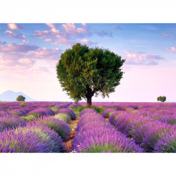 Puzzle 500 db - Levendula mező Ravensburger