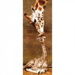 Puzzle 1000 db panoráma - Zsiráfok Ravensburger