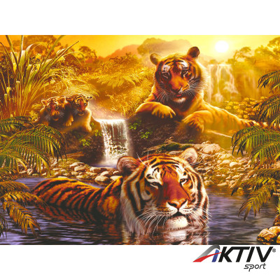 Puzzle 2000 db - Tigrisek Ravensburger