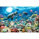 Puzzle 5000 db - Tengeri élet Ravensburger