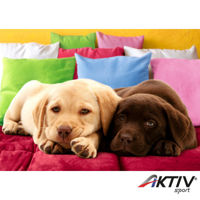 Puzzle 1000 db - Barátság Ravensburger