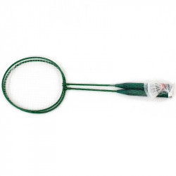 Tollas készlet 2 ütő labdával és hálóban Tollasütő