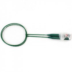 Tollas készlet 2 ütő labdával és hálóban Tollasütő