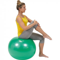 Gimnasztikai labda 55 cm
