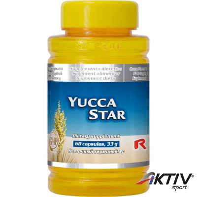 Yucca Star