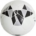 Puma PRO TRAINING HS labda