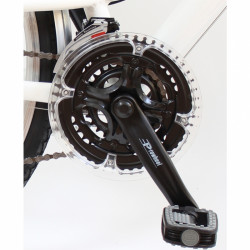 Trekking kerékpár Neuzer Ravenna 50 női fehér-lila