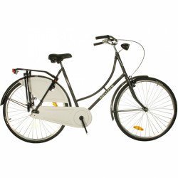 City Kerékpár Neuzer Holland szürke-krém City kerékpár Neuzer
