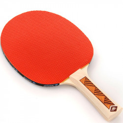 Donic Champs Line 200 ping-pong ütő