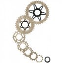 Sunrace Driven MX Fogaskoszorú [pezsgő-piros, 11-36]