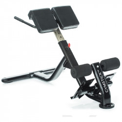 Hátizom erősítő pad Gymstick Fitness Gymstick