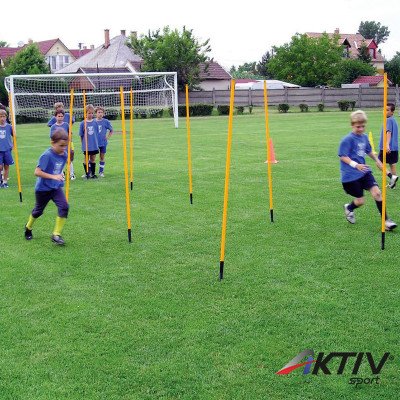 Leszúrható rúdkészlet Flexibilis Aktivsport 10 db-os