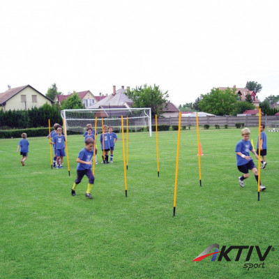 Aktivsport Leszúrható rúdkészlet Fix 10 db-os