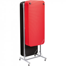 Fitnesz szőnyeg Trendy ProfiGymMat Professional 140x60x1 cm felakasztható narancs