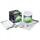 4M világító kristálynövesztő készlet