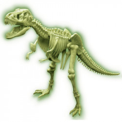 Tyrannosaurus Rex DNS 4M