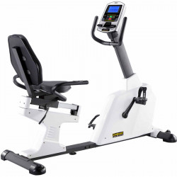 Háttámlás szobakerékpár Robust Premium Luxor Fitness Robust