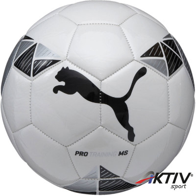 Focilabda Puma Pro Training MS Ball