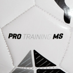 Focilabda Puma Pro Training MS Ball