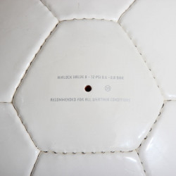 Focilabda Puma Pro Training MS Ball