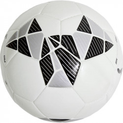 Focilabda Puma Pro Training MS Ball