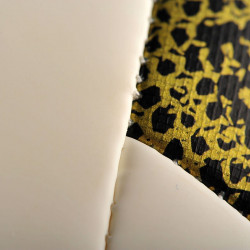 Fociladba Adidas X Glider