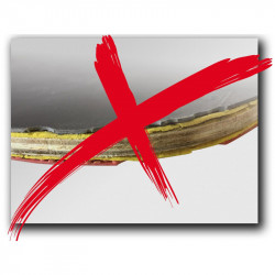 Ping-pong ütő Donic Protection Line S600 Series